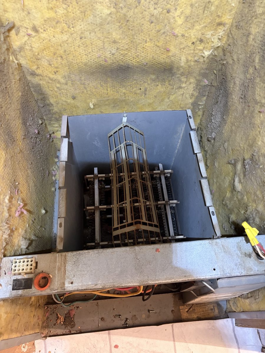 Blower housing after debris removal